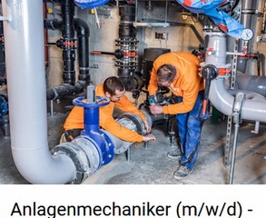 engelhardt 2